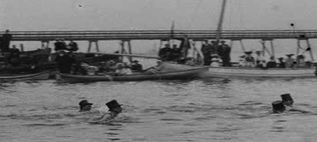 tynemouthswimming-portal
