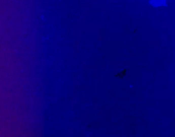 The Wire Watch an excerpt from A Creak In Time soundtracked by Howlround