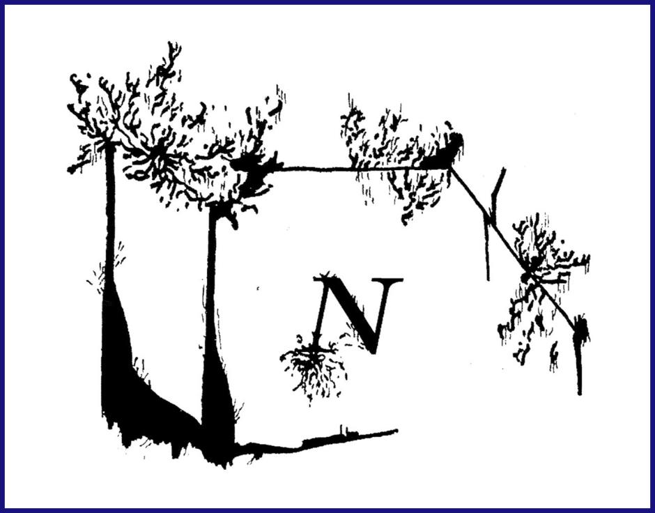 Notice Recordings logo