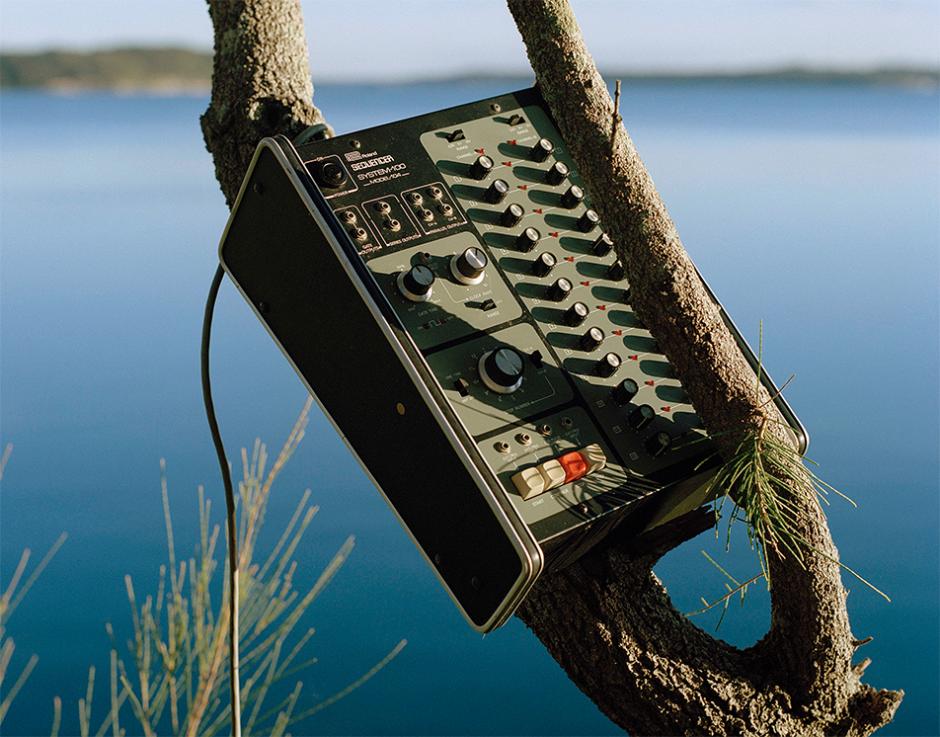 Branch dressing: Olev Muska’s synth in a tree (see page 16 of The Wire 449). Photo: Henry Butterworth